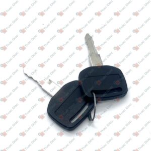 PAIR OF IGNITION KEYS - LANDINI - 705361A1 - Image 1