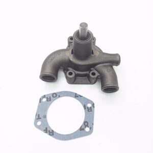 POMPA ACQUA ECOLINE TIPO U5MW0097 - LANDINI - TL3658102M91 - immagine 1
