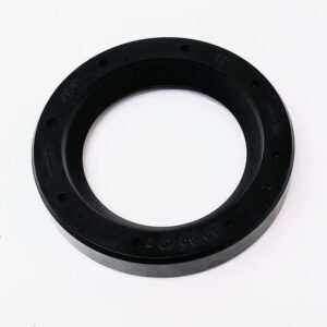 OIL SEAL 40x60x10 STRIPED CLOCKWISE - LOMBARDINI - KOHLER - 1210076 - Image 1