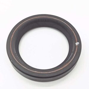 OIL SEAL 45x62x10 HOURLY LINED - LOMBARDINI - KOHLER - 1210078 - Image 1