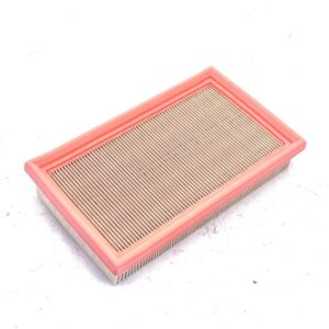 FOCS ENGINE RECTANGULAR AIR FILTER - LOMBARDINI - KOHLER - 2175164 - Image 1