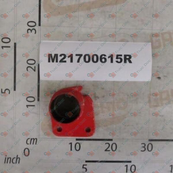 MSM21700615R