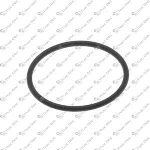 OR RING 2106 VITON - PATERLINI - 770.02 - Image 1